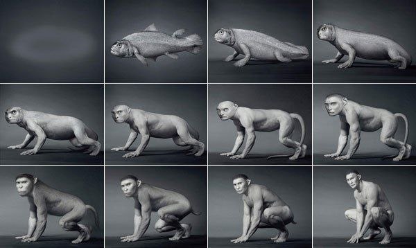 Эволюция человека от Daniel Lee