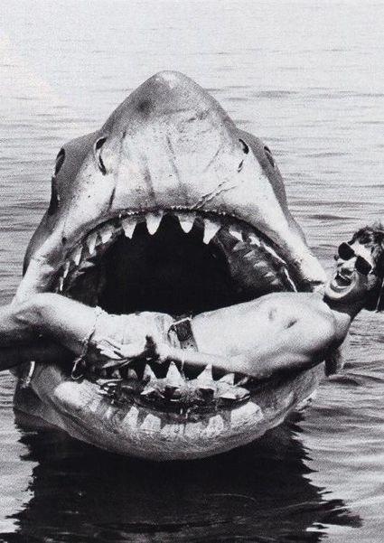 Необычное явление было замечено в Африканских водах. Человек и акула стали лучшими друзьями. На фото человечишка греется в пасти у акулы.