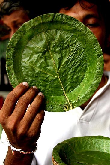 «Зеленая» (во всех отношениях) посуда, созданная из прессованных листьев и представленная на экологической выставке в Коломбо, Шри-Ланка.