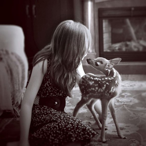 Девочка и олень от юного фотографа Эмили Ли.