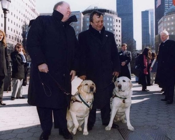 Два пса-поводыря, которые вывели своих владельцев с высоты 70 этажей из Всемирного торгового центра до того, как башни рухнули 11-го сентября.