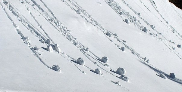 Снежные рулоны – редкое метеорологическое явление, когда под воздействием сильного ветра снег сбивается в комки, которые катятся по земле постепенно увеличиваясь в размерах – примерно так же, как снежные шары, из которых дети лепят снеговиков.
