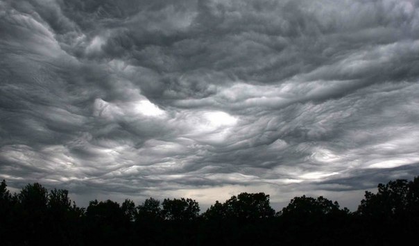 Зарегистрирован новый тип облаков — Undulatus asperatus (дословный перевод с латыни — «волнисто-шероховатые»). Такие облака являются редким и неизученным метеорологическим феноменом, который удалось обнаружить совсем недавно.