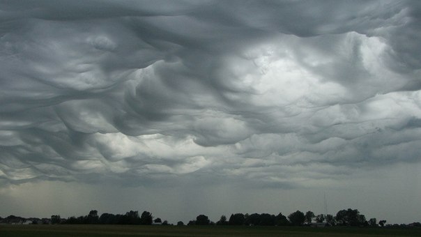 Зарегистрирован новый тип облаков — Undulatus asperatus (дословный перевод с латыни — «волнисто-шероховатые»). Такие облака являются редким и неизученным метеорологическим феноменом, который удалось обнаружить совсем недавно.