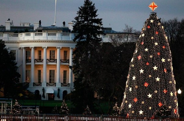 Как украшают Белый Дом к рождеству и новому году