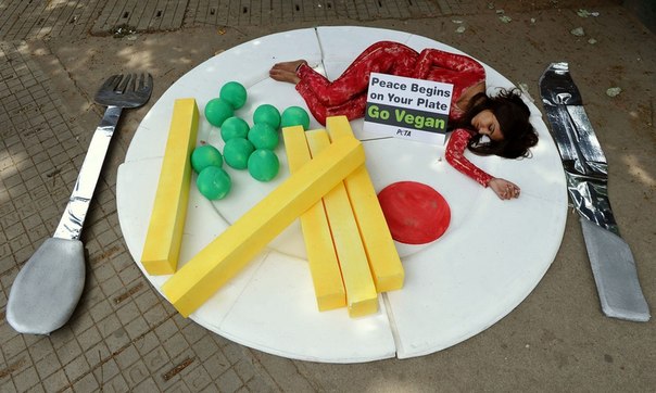 Активистка организации «Люди за этичное обращение с животными» (PETA) лежит на гигансткой тарелке под видом куска мяса во время флешмоба в Бангалоре, Индия. Ее транспарант гласит: «Мир начинается у тебя на тарелке! Становивись веганом».