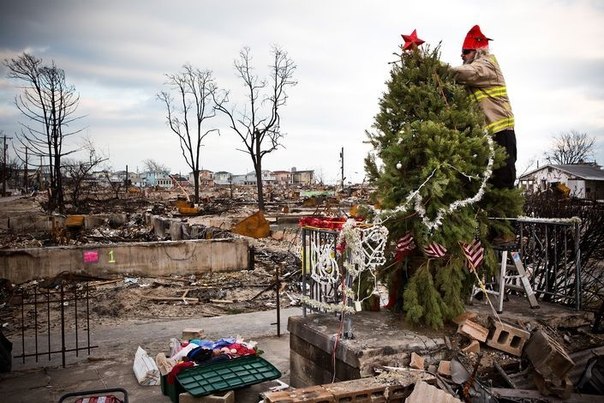 Доброволец украшает рождественскую елку в районе Бризи Пойнт, который до сих пор не оправился от последствий урагана «Сэнди», штат Нью-Йорк.