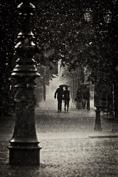 Жизнь не для того, чтобы ждать, пока стихнет ливень. Она для того,чтобы учиться танцевать под дождем.