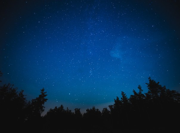 Ночные лесные пейзажи от фотографа под ником Mensent