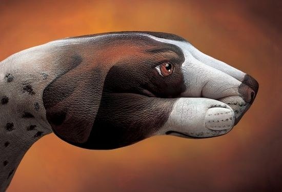 Животные, нарисованные на человеческих руках от Гвидо Даниэле