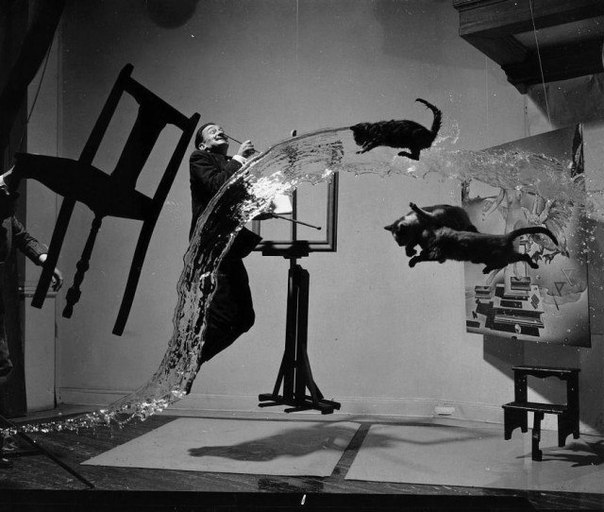 "Дали атомикус", 1948 год, фотограф - Филипп Халсман. По словам фотографа для того, чтобы снимок удался было потрачено шесть часов и сделано 28 бросков (воды, стула и трех кошек).