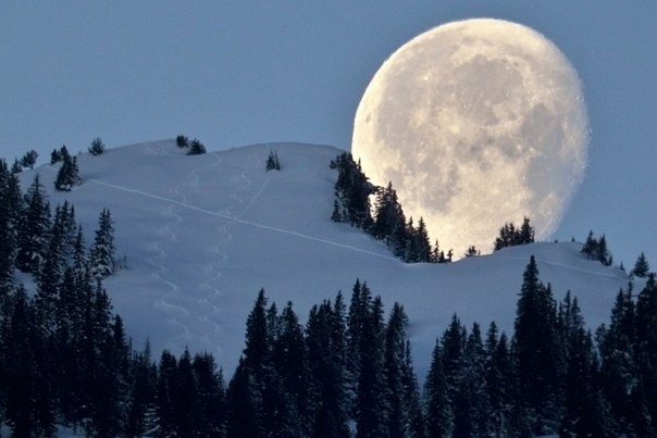 Уходящая луна на фоне горы Цвайершпитце (1858 метров над уровнем моря). Верхняя долина Рейна, Швейцария.