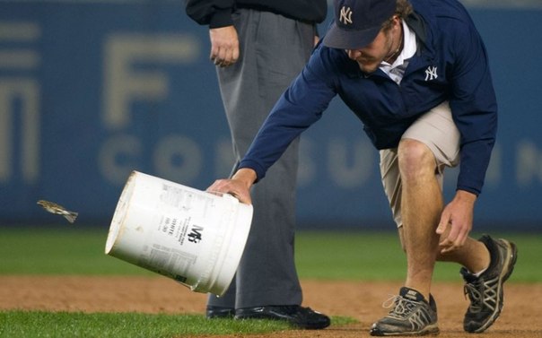 Работник стадиона пытается поймать ведром птичку во время 12 иннинга Нью-Йорк Янкиз на игре с Бостон Ред Сокс на стадионе Янки в Нью-Йорке.
