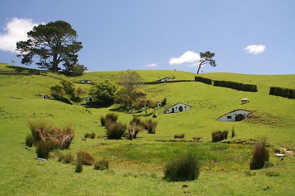 После съемок  Властелина колец” многие дома хоббитов, построенные в холмистой местности в Новой Зеландии, не были демонтированы. Людям они были не нужны, и заброшенный Хоббитон облюбовали овцы местных фермеров.