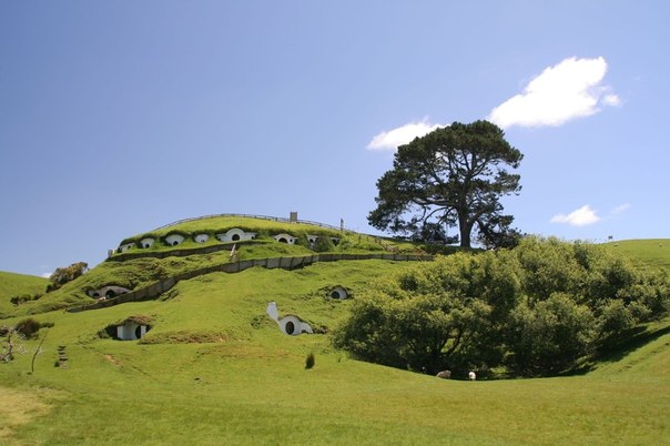 После съемок  Властелина колец” многие дома хоббитов, построенные в холмистой местности в Новой Зеландии, не были демонтированы. Людям они были не нужны, и заброшенный Хоббитон облюбовали овцы местных фермеров.