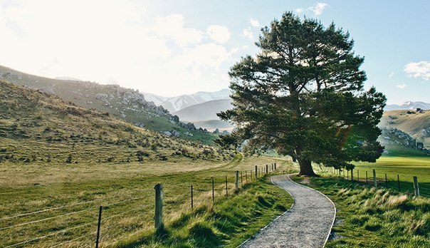 Новая Зеландия в объективе фотографа Sam Hurd