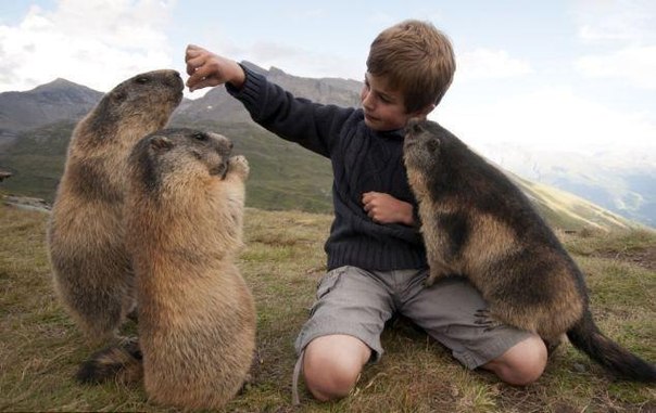 Восьмилетний Маттео Вальч четыре года назад обнаружил альпийских сурков и начал наблюдать за ними. 