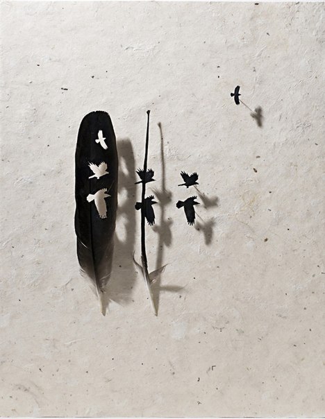 Арт-объекты из птичьих перьев от Криса Мэйнарда