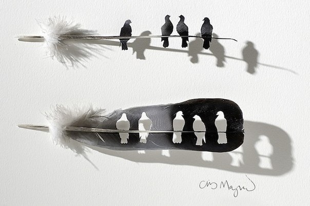 Арт-объекты из птичьих перьев от Криса Мэйнарда