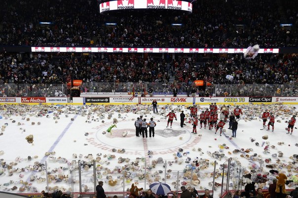 Игроки юниорского хоккейного клуба Calgary Hitmen во время матча против клуба Kootenay Ice, Калгари, Канада. После матча хоккейная команда собрала около 25000 игрушек, которые были отправлены в виде благотворительности в детский госпиталь провинции Альберта. В данный момент команда является рекордсменом по сбору подобного рода подарков со стороны зрителей — 26 919 штук за матч.