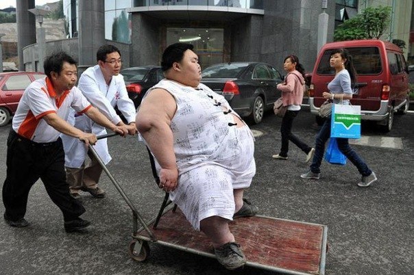 Папаша тянет своего ожиревшего тридцатилетнего сыночка Лян Юна к врачу на обследование