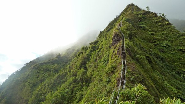 Лестница Хайку - это крутая тропа на острове Оаху, состоящая из 3922 ступеней.  Она ведет на вершину хребта Кулау.