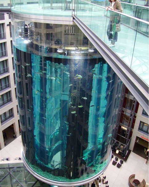 «AquaDom» – это 25-метровый аквариум цилиндрической формы из акрилового стекла, построенный вокруг прозрачного лифта. Он находится в отеле «Radisson SAS Hotel», Берлин.