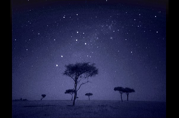 Ночная Африка в работах фотографа Мартина Дорна