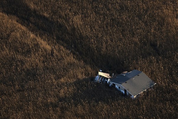 Дом, который съехал в болото во время урагана «Сэнди», Статен-Айленд, штат Нью-Йорк.