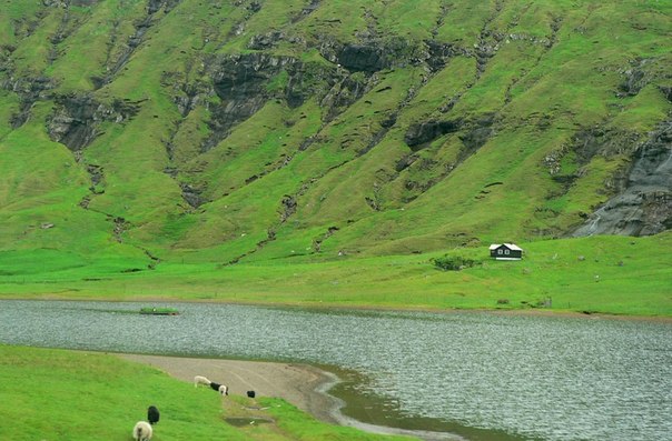 Фарерские острова – это группа небольших островов в северной части Атлантического океана между Шотландией и Исландией. На территории архипелага, состоящего из 18 вулканических островов общей площадью около 1400 квадратных километров, сегодня живут 50 тысяч человек.