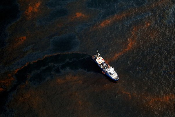 Разлитая в Мексиканском заливе нефть
