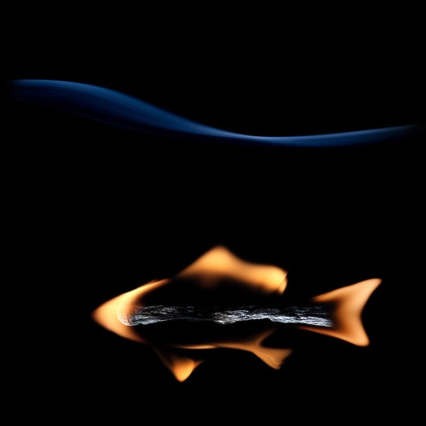 Фото- арт из горящих спичек от фотографа из Екатеринбурга Станислава Аристова