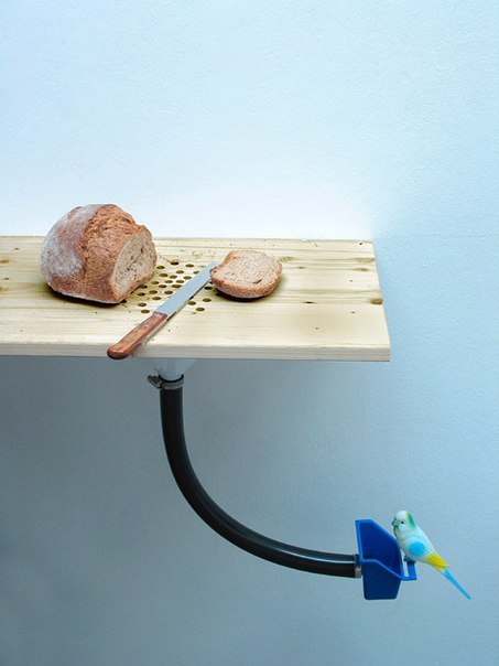 Доска для резки хлеба и кормушка для птицы от дизайнера Curro Claret