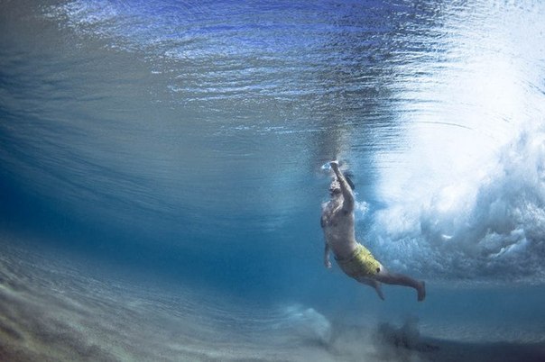 The Underwater Project - подводные фото Марка Типпла
