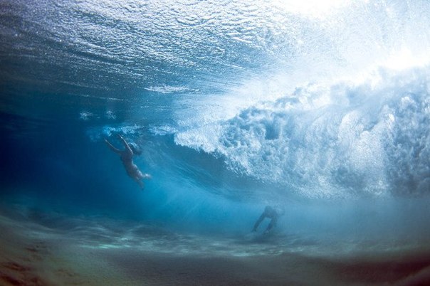 The Underwater Project - подводные фото Марка Типпла