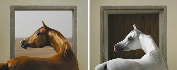 Cерия работ известного фотографа Тима Флака под названием «Equus»,  что переводится с латыни как «лошадь».