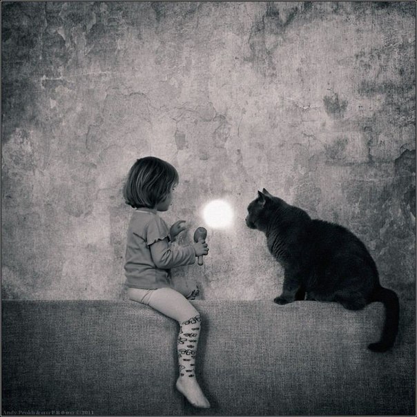 Фотопроект "Маленькая девочка и кот Том" от Andy Prokh