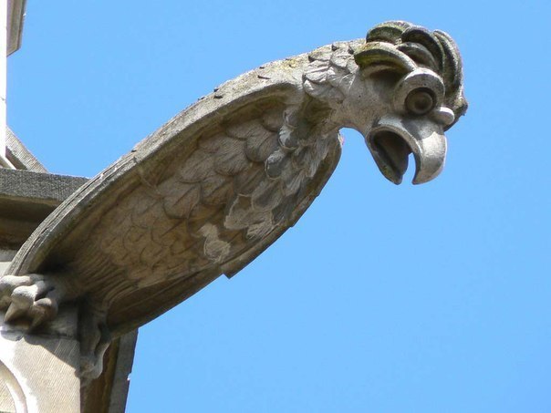 Гаргульи – вырезанные из камня гротескные фигуры, которые создавали для отвода воды с боковых фасадов  и крыш больших зданий.