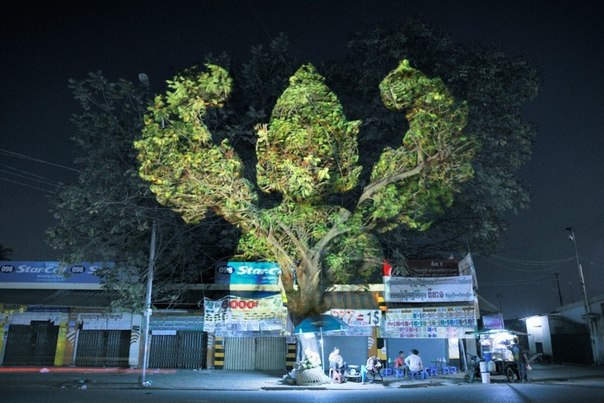 На улицах городов Камбоджи появились необычные световые инсталляции. Французский художник Клемен Брийон  стал автором очаровательной серии проекций культовых для камбоджийцев изображений на кроны деревьев.