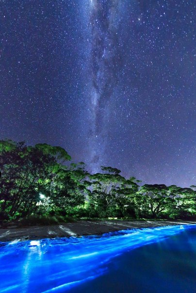 Светящийся планктон на пляже в Австралии