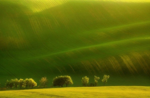 Моравия является исторической областью Чехии, именно сюда стремятся попасть фотографы, так как здесь можно сделать великолепные снимки бескрайних, зеленых полей, красивейших закатов и уютных деревень. Польский фотограф Pawel Uchorczak тоже побывал в этих местах.