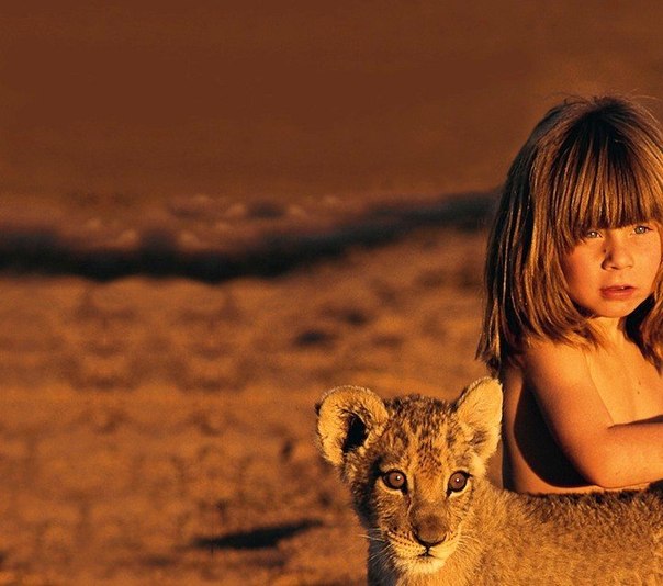 Девочка Типпи и Африканские дикие животные