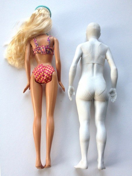 Американский художник Николай Ламм создал куклу Барби с пропорциями среднестатистической девушки. 