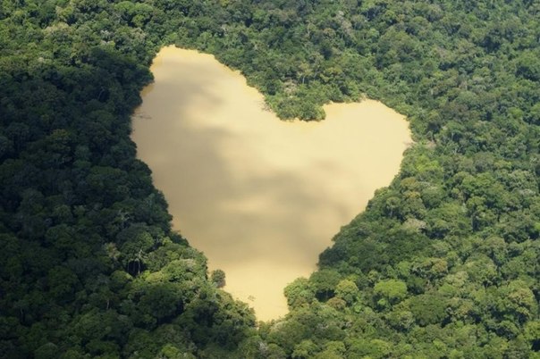 Озеро в джунглях Амазонки, Бразилия