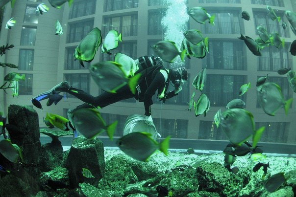 Гигантский аквариум в берлинском отеле Radisson Blu