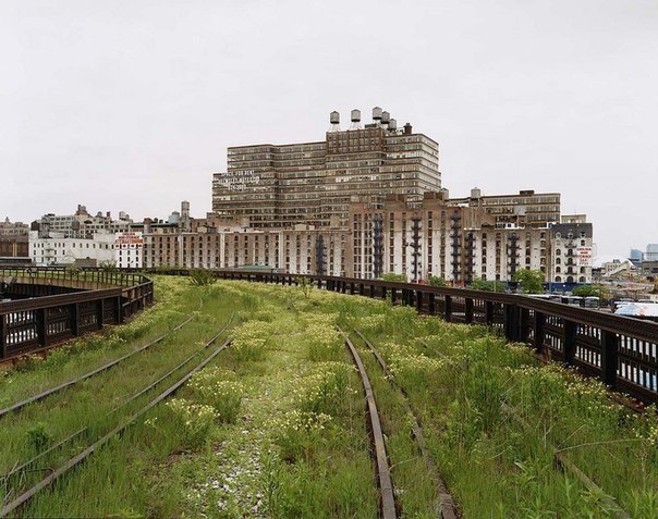Хай-Лайн (The High Line) – парк на Манхэттене на высоте около 10 метров от поверхности земли, обустроенный на месте надземной железной дороги. После ее закрытия в 1980 году неоднократно поднимался вопрос о ее разборе, но в итоге было решено превратить ее в парковую аллею.