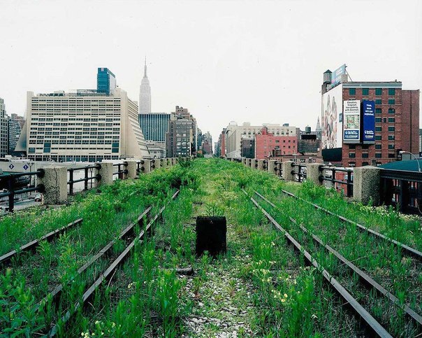 Хай-Лайн (The High Line) – парк на Манхэттене на высоте около 10 метров от поверхности земли, обустроенный на месте надземной железной дороги. После ее закрытия в 1980 году неоднократно поднимался вопрос о ее разборе, но в итоге было решено превратить ее в парковую аллею.