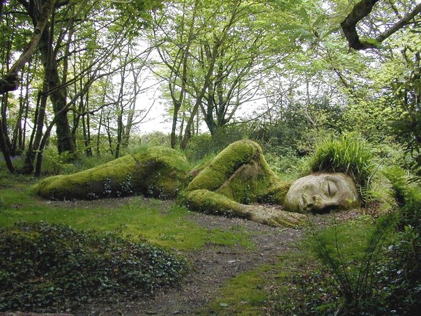 Затерянные сады Хэлигана – один из самых популярных ботанических садов в Великобритании, расположенный возле города Мевагисси в Корнуолле.