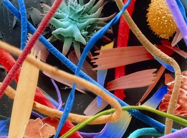 Бытовая пыль под микроскопом