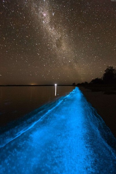 Гипселенд — озеро, которое светится ночью